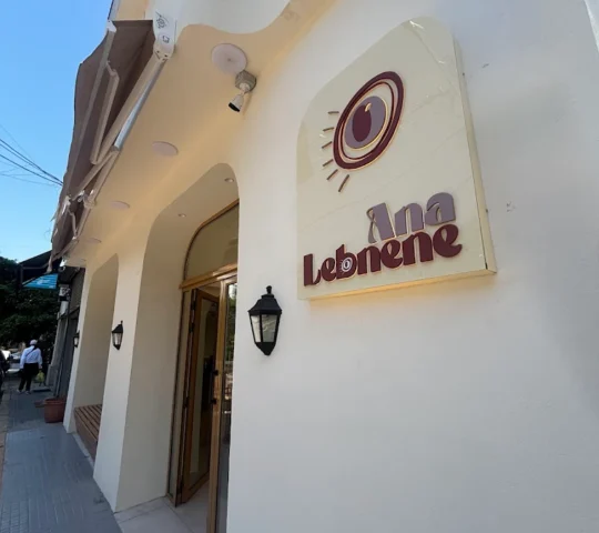 Ana lebnene