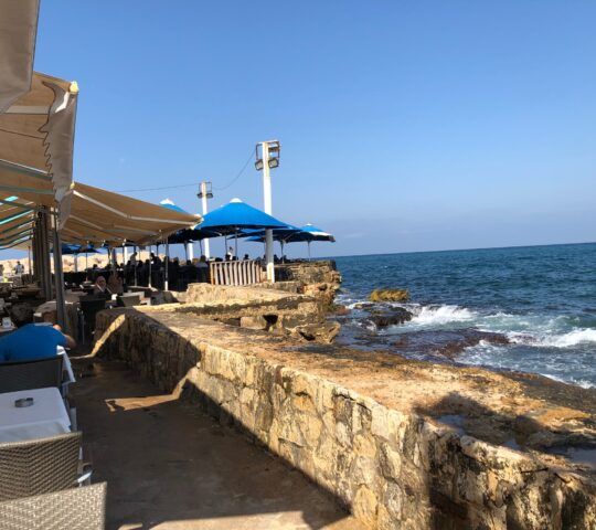 Manara palace