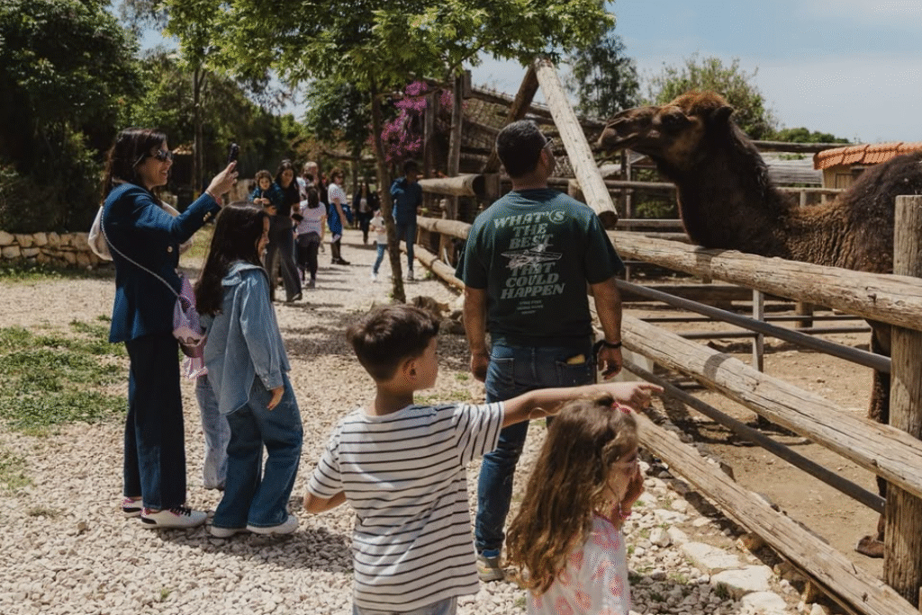 Arnaoon Village – Lebanon’s #1 Family Destination for Food, Fun & Nature | My Lebanon Guide